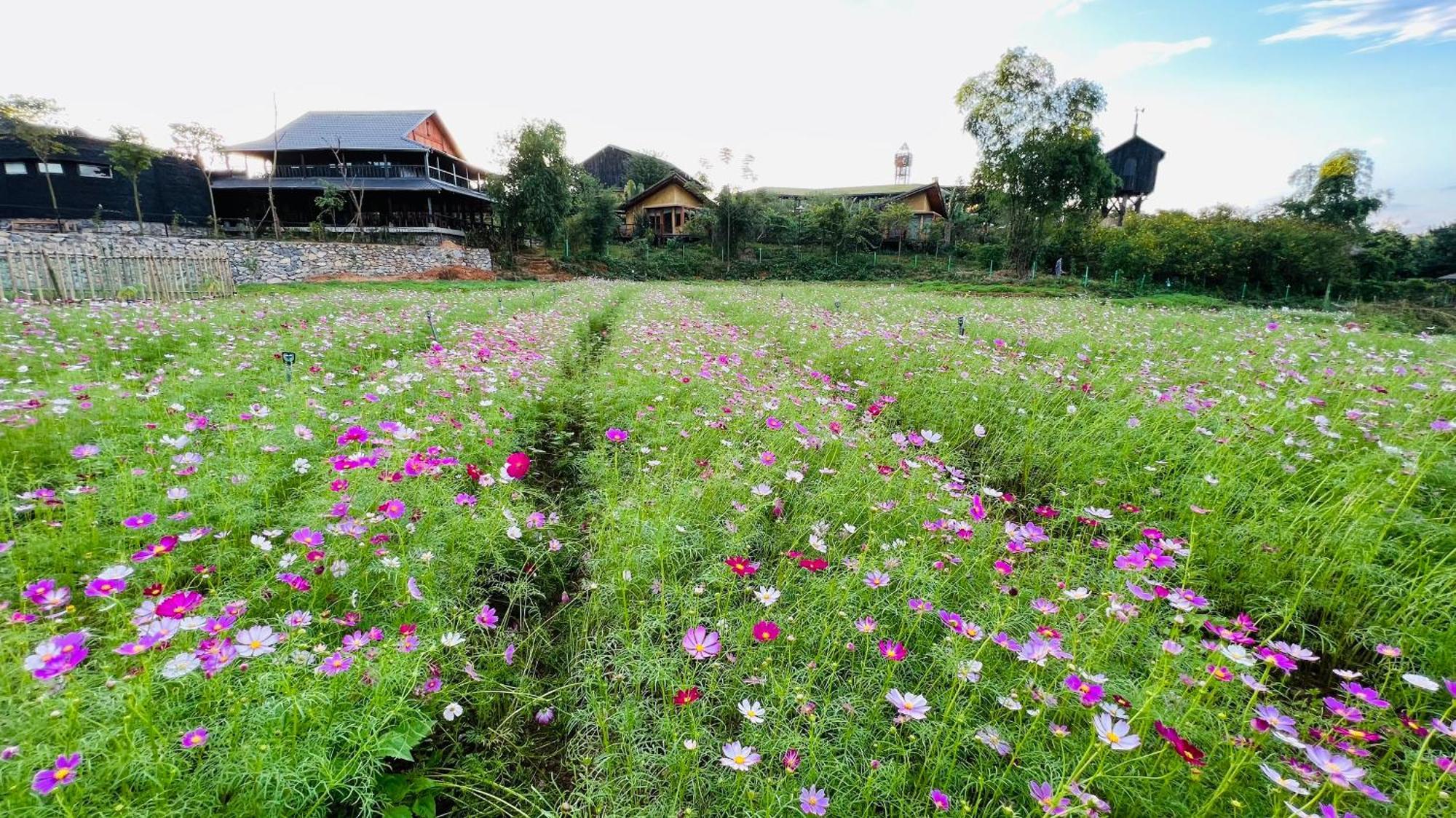 Satoyama Village Luong Son  外观 照片